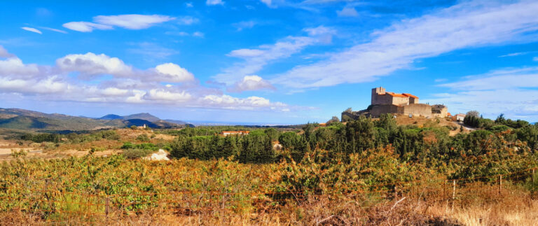 MONTALBA-LE-CHATEAU - TERRAIN AGRICOLE 10 695 m2
