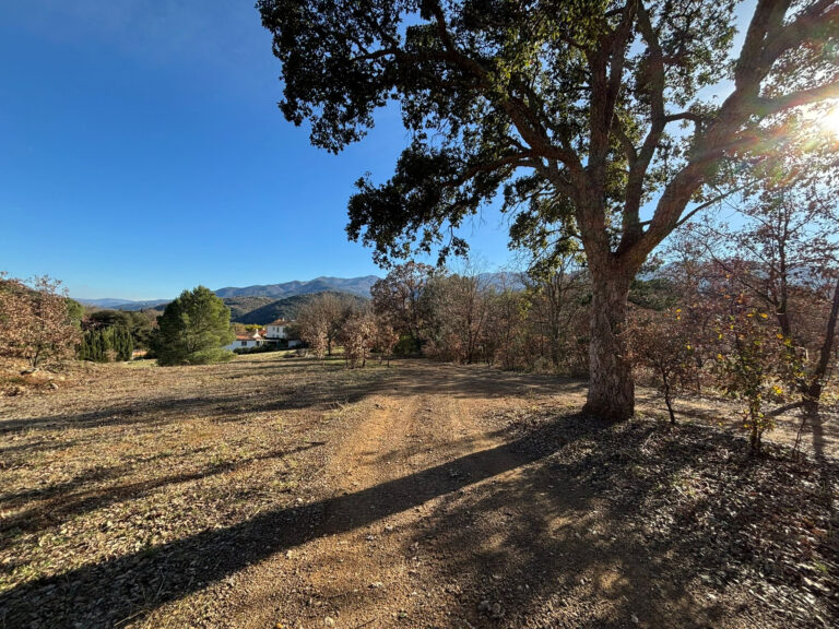 TERRAIN DE LOISIRS 1 HECTARE