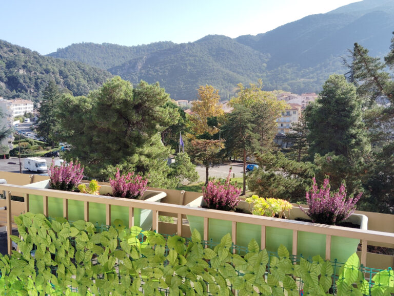 APPARTEMENT DE STANDING DANS LE VALLESPIR