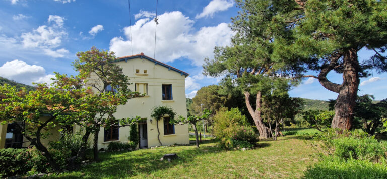 Proche Montalba - Sur  1216 m2 Jardin Verdoyant - Maison de Caractère sur 4 Faces 125m2 Hab