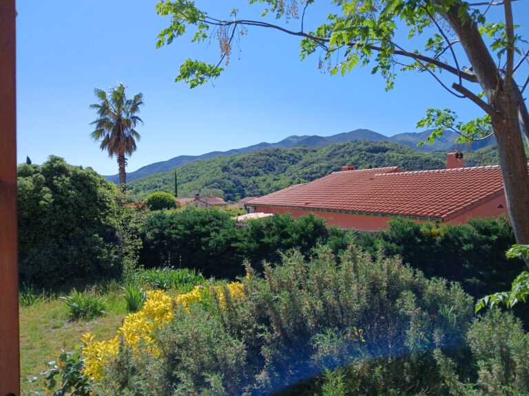 Villa 4 faces plain-pied et jardin terrasse