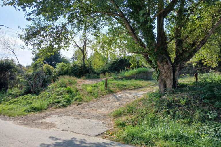 Céret Terrain à vendre