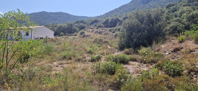 A 15 mns d'ille Sur Têt - Terrain constructible de 1317 m2 - Superbe vue dégagée