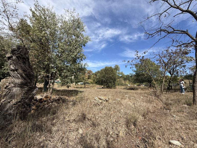Terrain de loisir