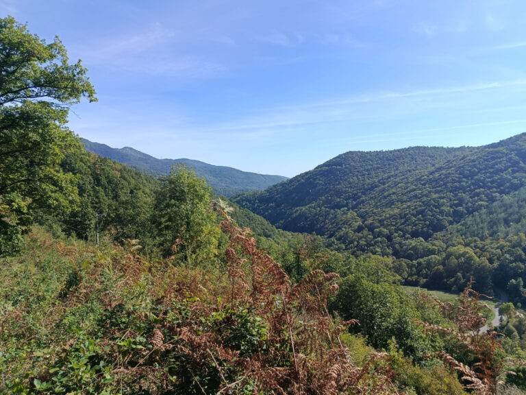 UN LIEU HORS DU TEMPS   PRÈS DE 4 HECTARES DE NATURE